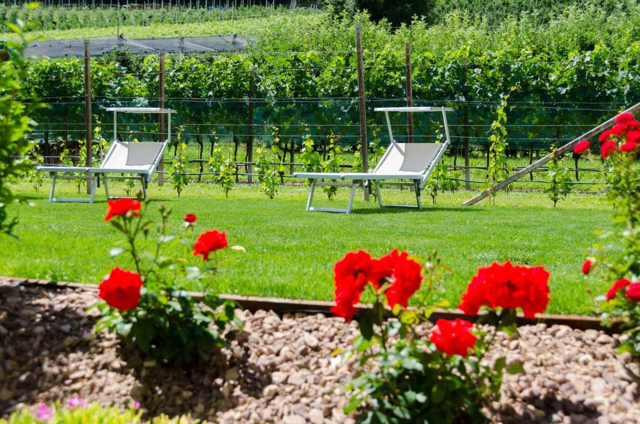 Haus Stolz Bed & Breakfast Appiano Sulla Strada Del Vino Luaran gambar
